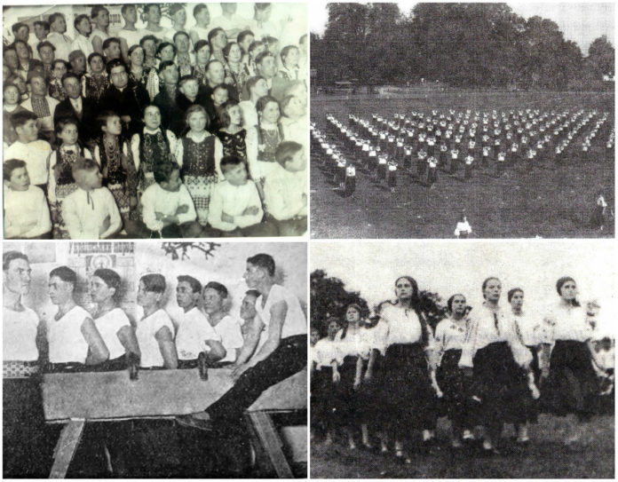 Cокіл у Хоросно–Старому