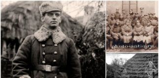 Причини листопадових невдач 1918 року. Південний напрямок