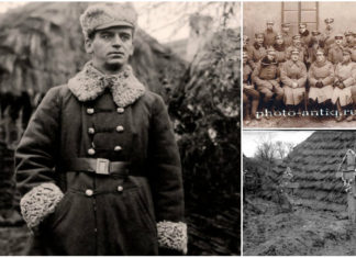 Причини листопадових невдач 1918 року. Південний напрямок