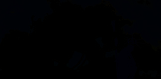 Як у Львові святкуватимуть у грудні та січні (повна програма святкових заходів)