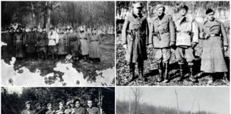 Кидок «Яструба». Бій куреня УПА «Сіроманці» проти військ НКВД під Уневом