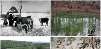 Найсмачніша вода, або криниці мого дитинства Криниці мого дитинства