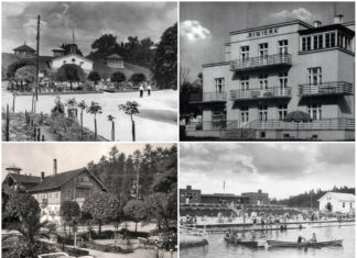 Комерційний геній Раймонда Яроша, або акціонерна спілка "Трускавецькі джерела"