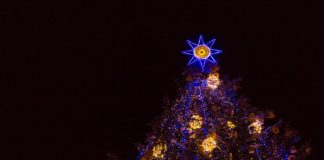 Головна ялинка Львова з якою зустрінемо 2017 рік