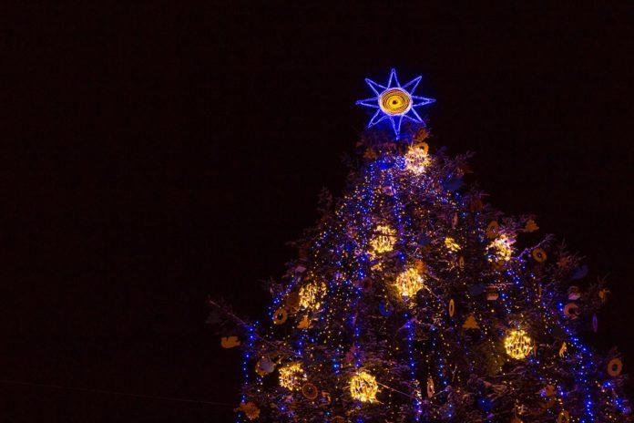 Головна ялинка Львова з якою зустрінемо 2017 рік Головна ялинка Львова з якою зустрінемо 2017 рік