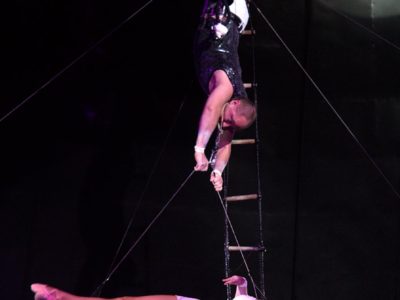 Повітряні гімнасти Олександр та Людмила Літічевські