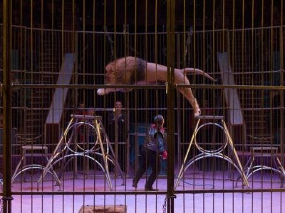 Атракціон дресированих левів під керівництвом Тайро Кароллі