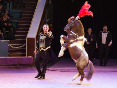 Атракціон екзотичних тварин під керівництвом Белуша Токача