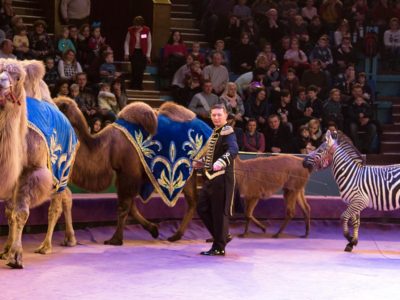 Атракціон екзотичних тварин під керівництвом Белуша Токача