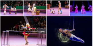 "Новорічна карусель" чекає на дітлахів та дорослих