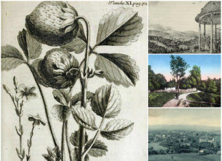 Трускавковий смак міста Трускавця