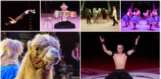 "Великий Будапештський цирк" дістався Львова