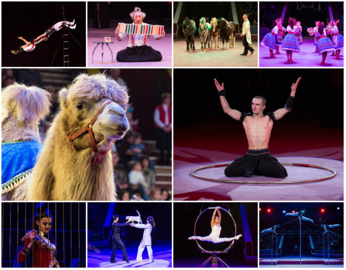 "Великий Будапештський цирк" дістався Львова