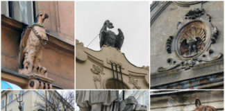 Не левами єдиними. Звіриний слід в архітектурі міста Львова