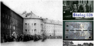 Нацистський табір у Львові. Кілька епізодів з історії "Шталагу-328"