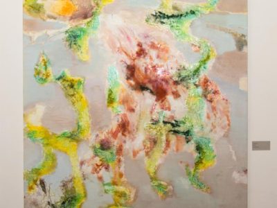 Експозиція виставки художнього проекту Петра Бевзи «Йордань»