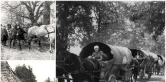 Райхенбах, або німецькі жителі села Красів