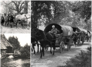 Райхенбах, або німецькі жителі села Красів