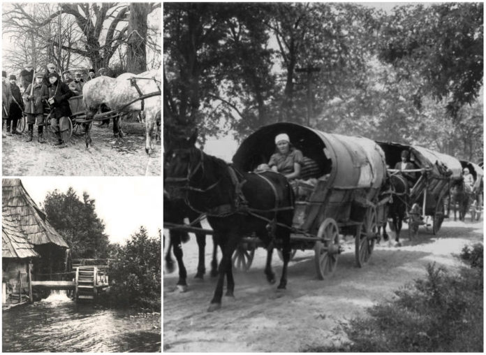 Райхенбах, або німецькі жителі села Красів
