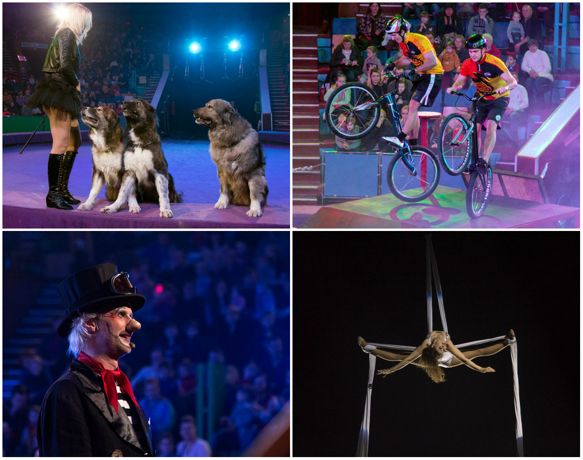 Цирк “Форсаж талантів” завітав до Львова