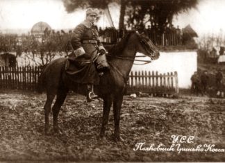 Полковник Гринько Коссак