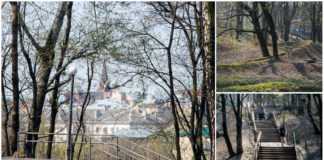 Студентський парк Львова