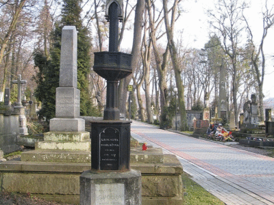 Могила Ф. Смольки