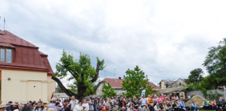 Фестиваль сиру і бринзи в Винниках