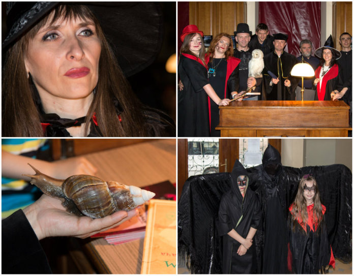 Містична школа «Буквордс», або «Лібер максімус!»