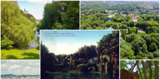 Найгарніший парк Європи, або 20 цікавих фактів про Стрийський парк