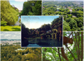 Найгарніший парк Європи, або 20 цікавих фактів про Стрийський парк