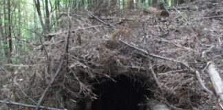 На Львівщині відновлять криївку УПА