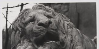 Львів, Лев біля Порохової вежі, фото 1976 року