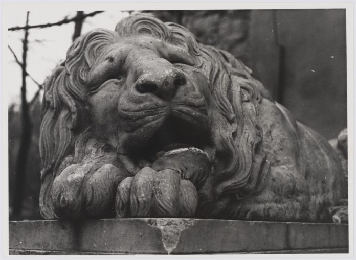 Львів, Лев біля Порохової вежі, фото 1976 року Львів, Лев біля Порохової вежі, фото 1976 року