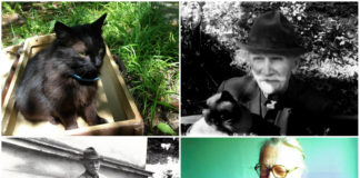 Пухнасті мешканці садиби Людкевича