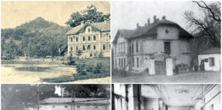 Львівський "Лаокоон"