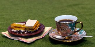 Квадратики крухі складані з перепису Соломії Крушельницької