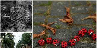 Фотопроект “ #львів #бруківка #бандери “ стартує вже в суботу