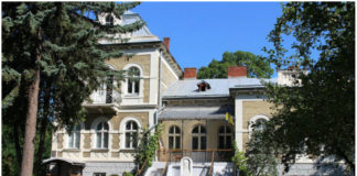 Журавлі пам'яті Холмського краю