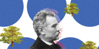 Критичний реаліст Прус і Волинь