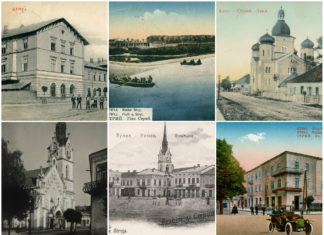 Стрий на 10 розкішних старих поштівках