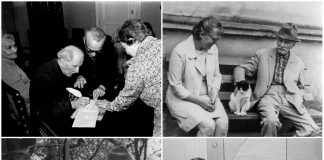 Одруження Станіслава Людкевича та Зеновії Штундер