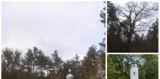 Зауваги до історії села Пирятин, або колись на лісничівці