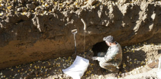 Ексгумація тіл німецьких солдатів Другої світової війни на колишньому військовому кладовищі