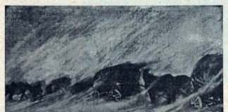 Завія. Мал.І.Іванець