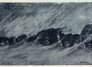 Завія. Мал.І.Іванець