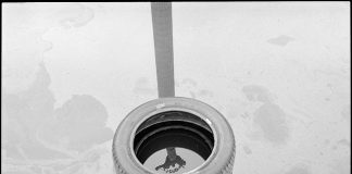 Фільм "Piano" покажуть у Львові