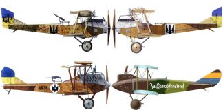 Син Каменяра у небі над Волинню. З історії українських літунів