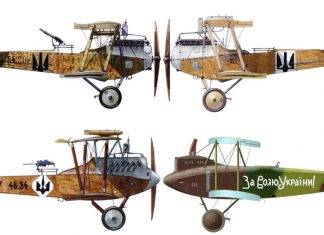 Син Каменяра у небі над Волинню. З історії українських літунів