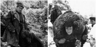 Зворушлива історія про дружбу ведмедя та повстанця УПА